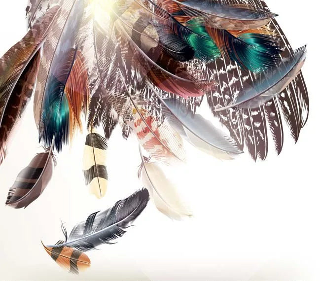 Papier Peint Plumes Exotiques Élégantes