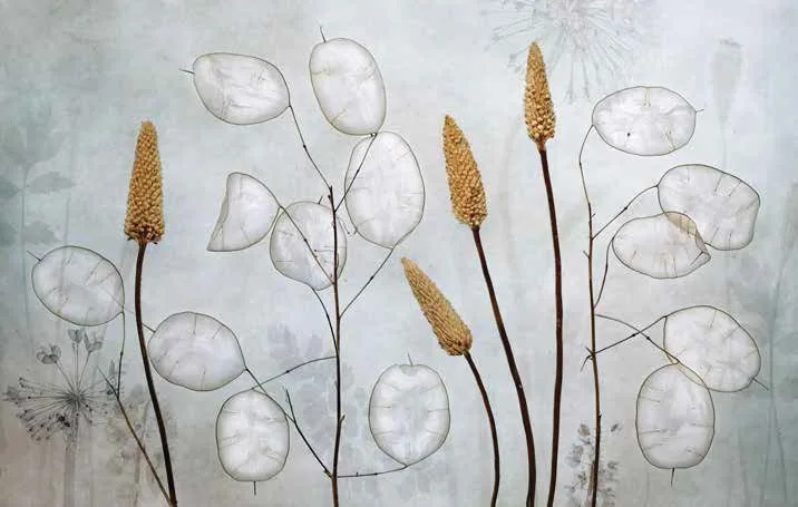 Papier Peint Botanique Minimaliste aux Fleurs